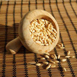 Pignon de Pin Beldi