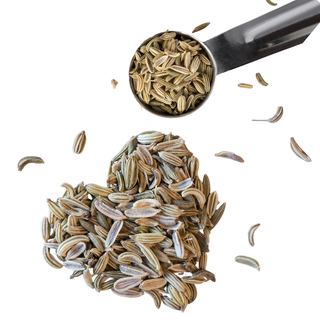 Besbes - Graines de Fenouil