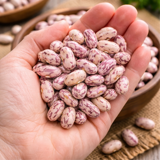 Haricot Borlotti