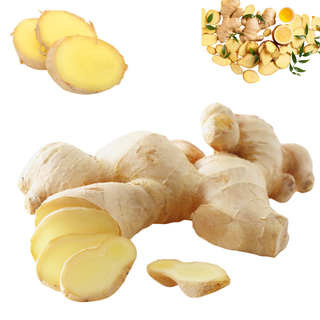 Iskanjbil – Gingembre Aromatique