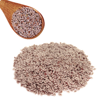 Psyllium – Graines Naturelles