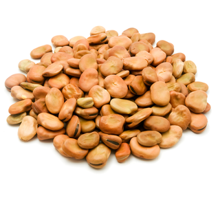 Foul Arbi (Fève Traditionnelle)