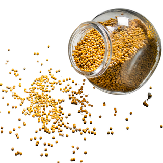 Graines de Moutarde – Saveur & Tradition